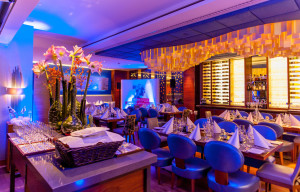 Amsterdam Event Photography